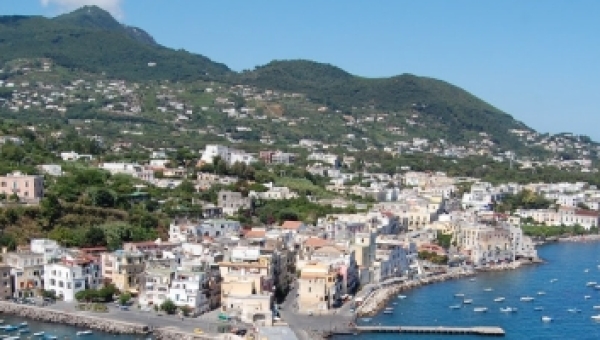 belliazzi 2